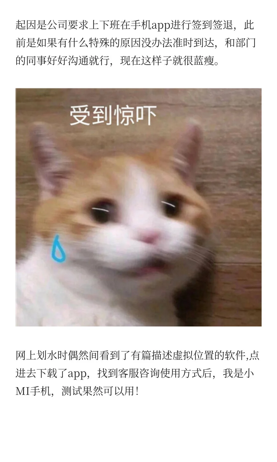 软件分享：豆豆守护、冷门但超实用的软件