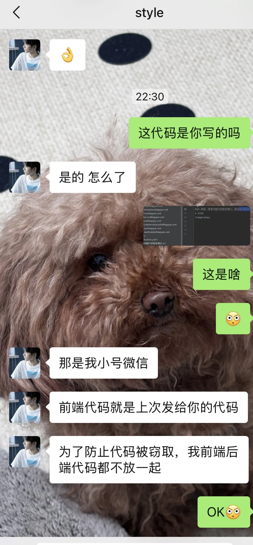 骗子啊啊啊恶心 大家一定别再私下了