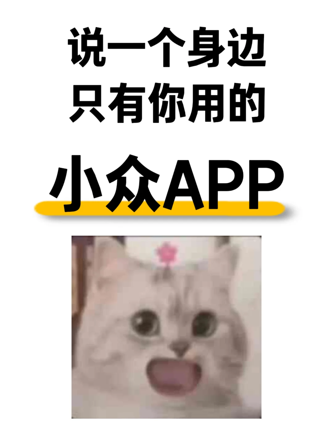 分享一个身边只有你用的小众app‼️