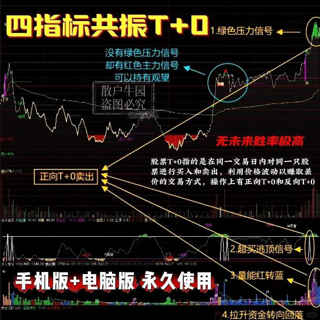 分时超绝做T看盘神器四指标共振公式源码