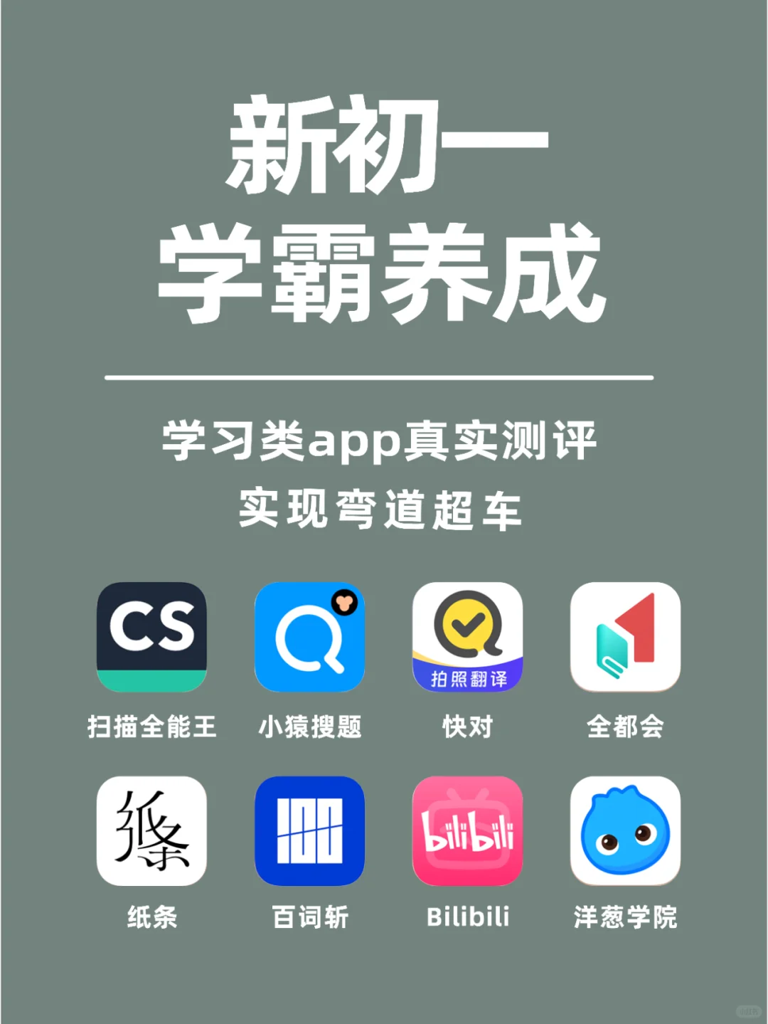 拒绝假认真！这些学习类app真好用吗？