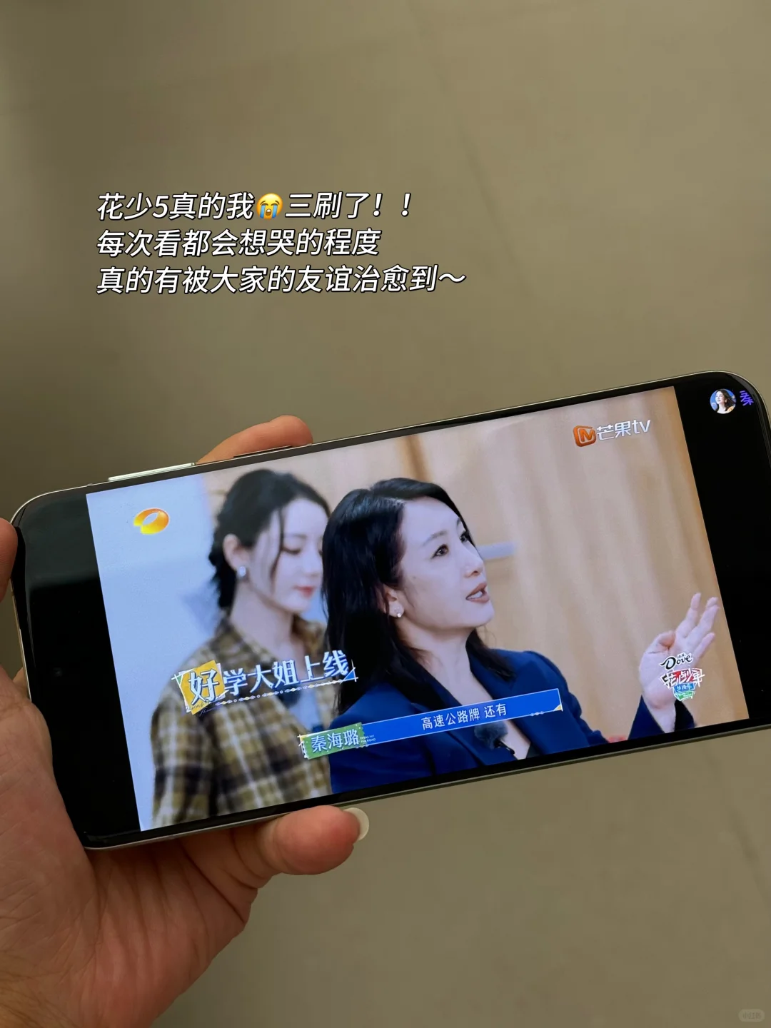 别再花冤枉钱了！各大平台综艺爽看❗