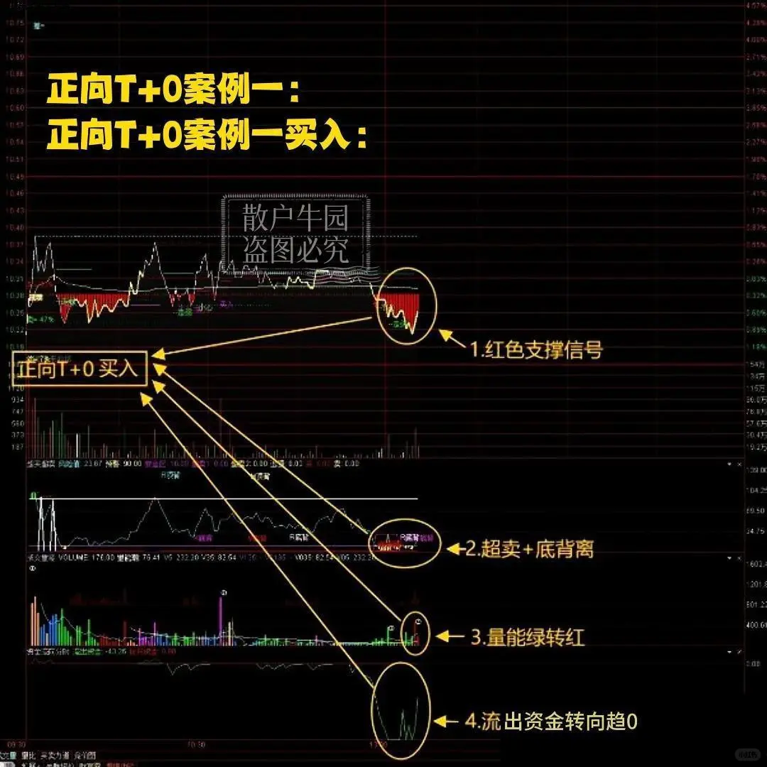 分时超绝做T看盘神器四指标共振公式源码