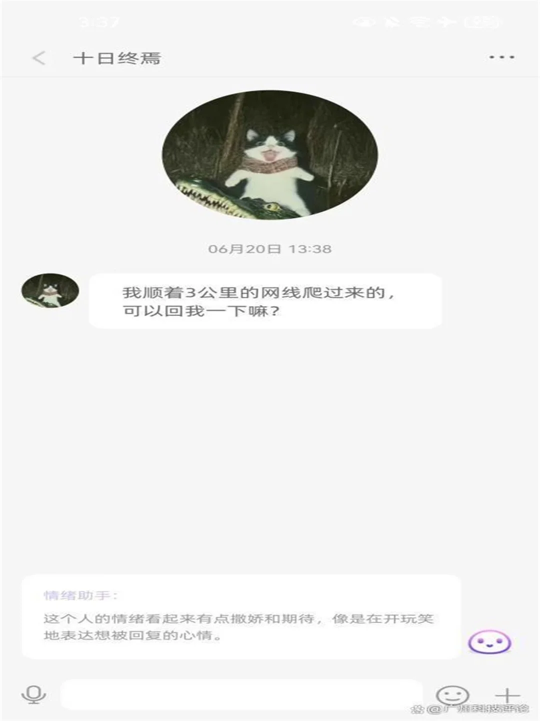 📱【救命！我好像发现了社交天花板APP！！】