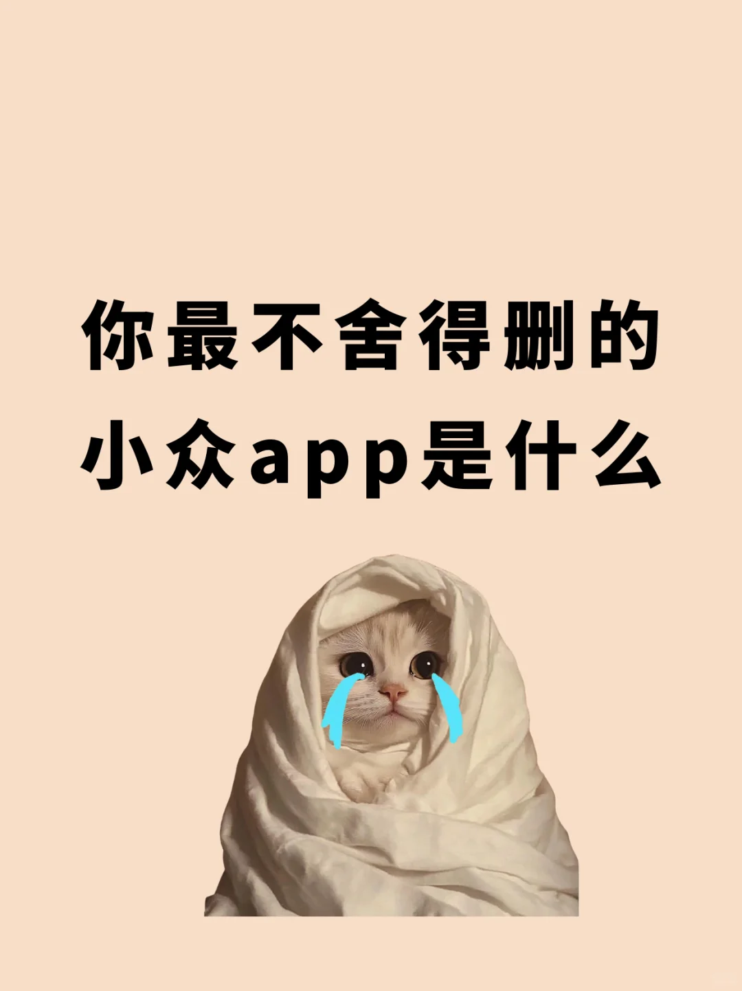 你最舍不得删的小众APP是什么