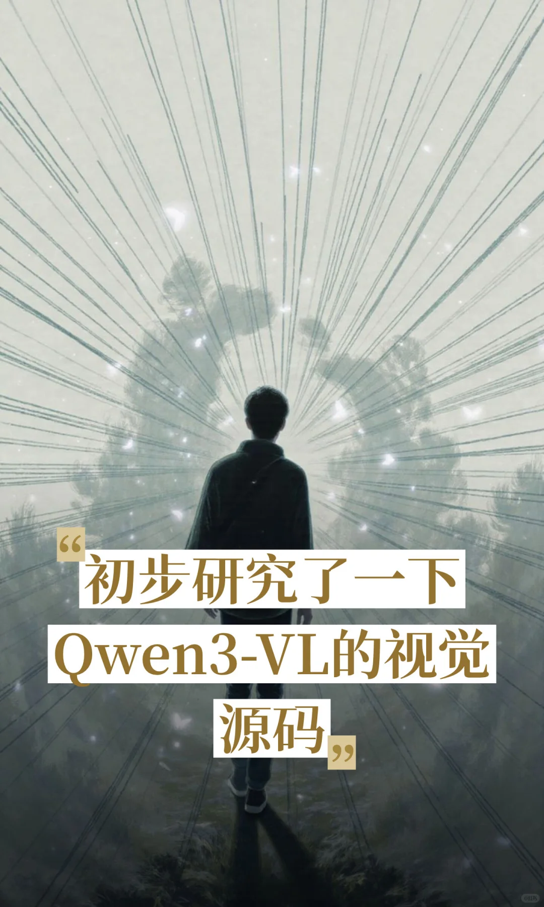初步研究了一下Qwen3-VL的视觉源码