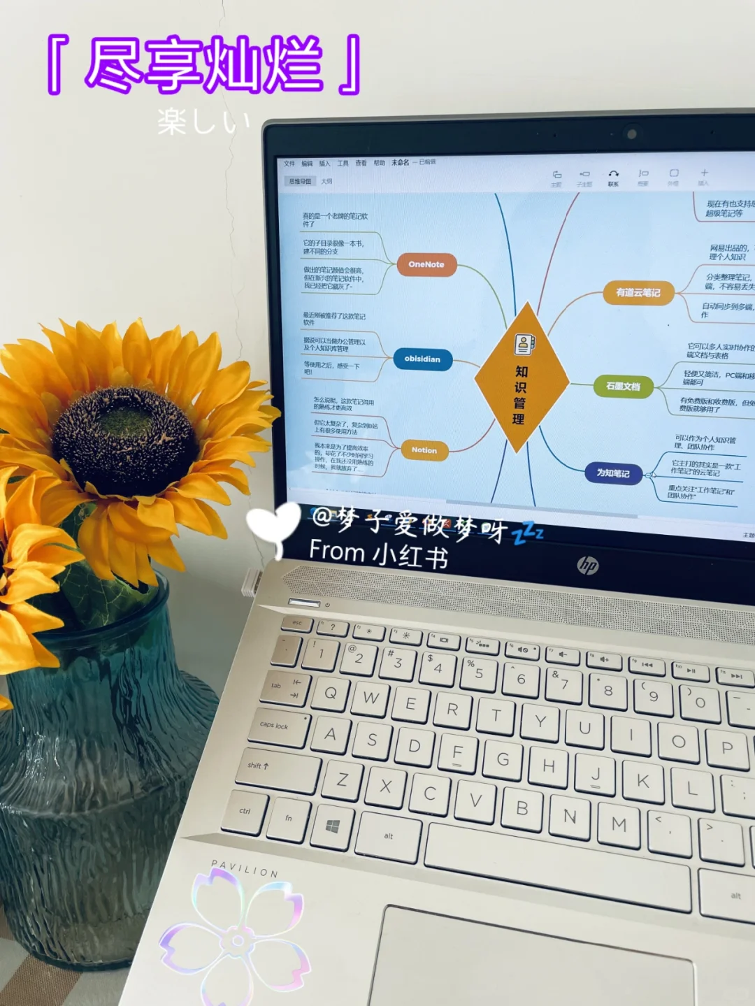 自我提升| 分享几个知识管理/效率提升的app