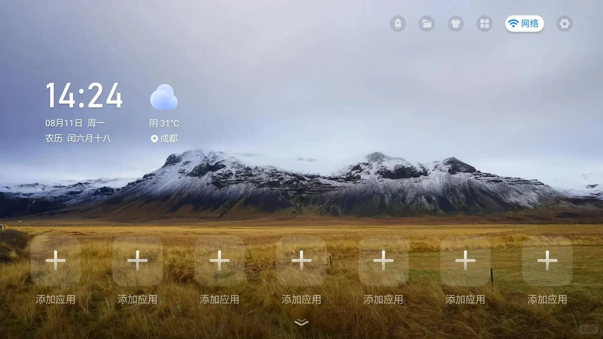 电视软件安装必备，野草助手最新口令分享码