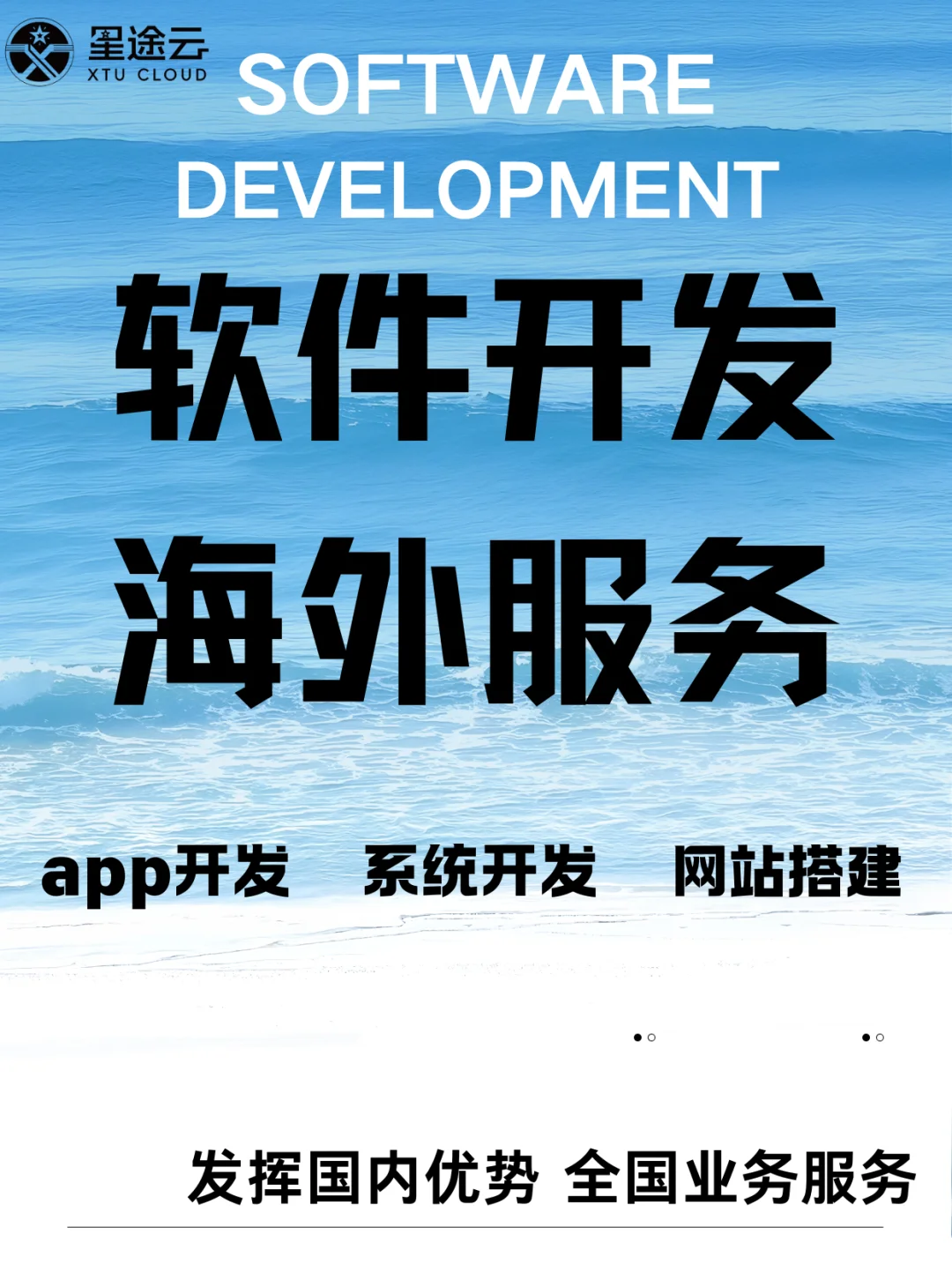 软件开发海外服务