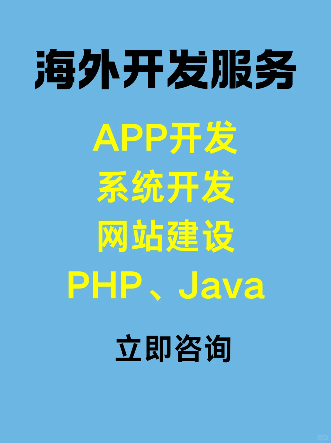 软件开发海外服务