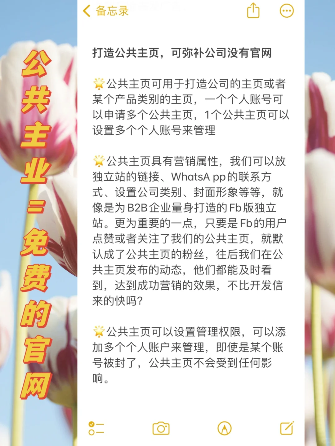 外贸新手上路攻略| 保姆级教程