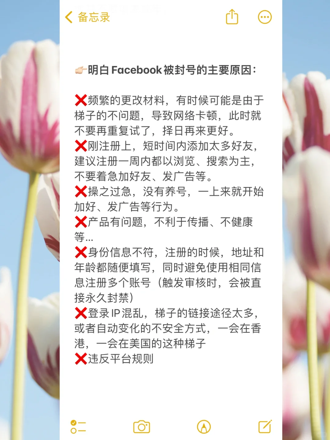 外贸新手上路攻略| 保姆级教程