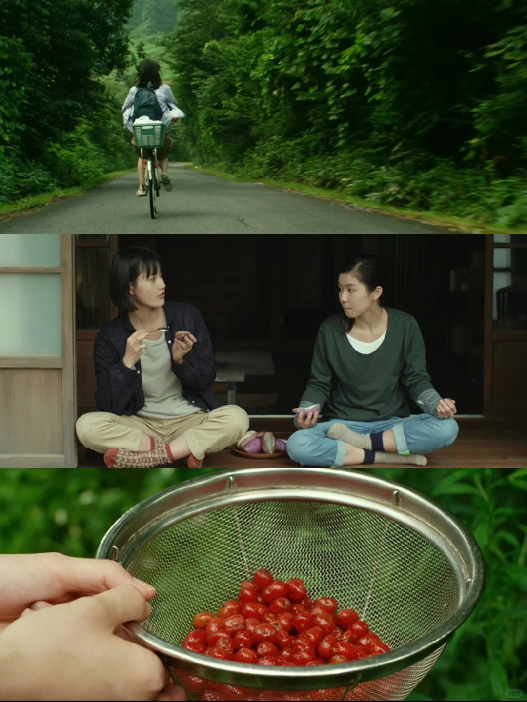 😭周末必看！4️⃣部让我又哭又笑的电影合集❗️