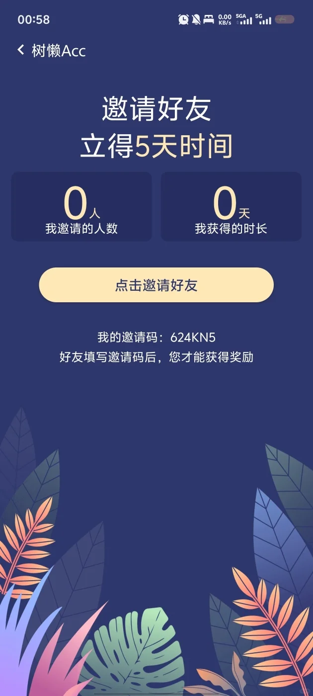 flai和代号鸢加速器