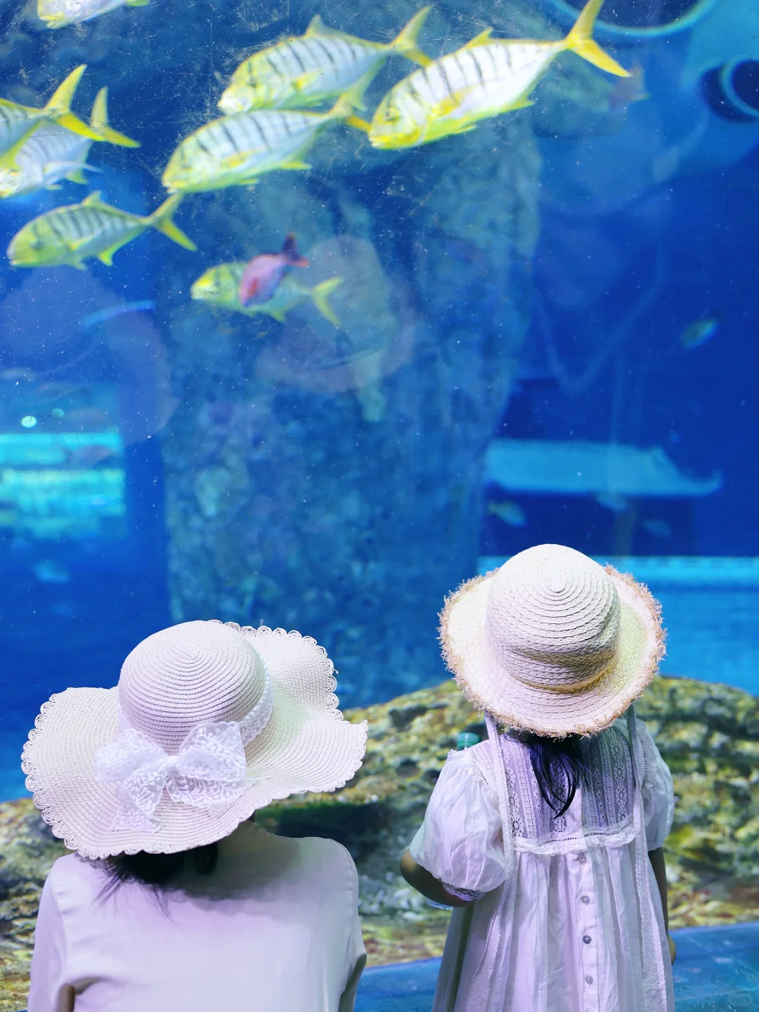 🏰 襄阳奇幻谷+奇梦海滩：童话照进现实！