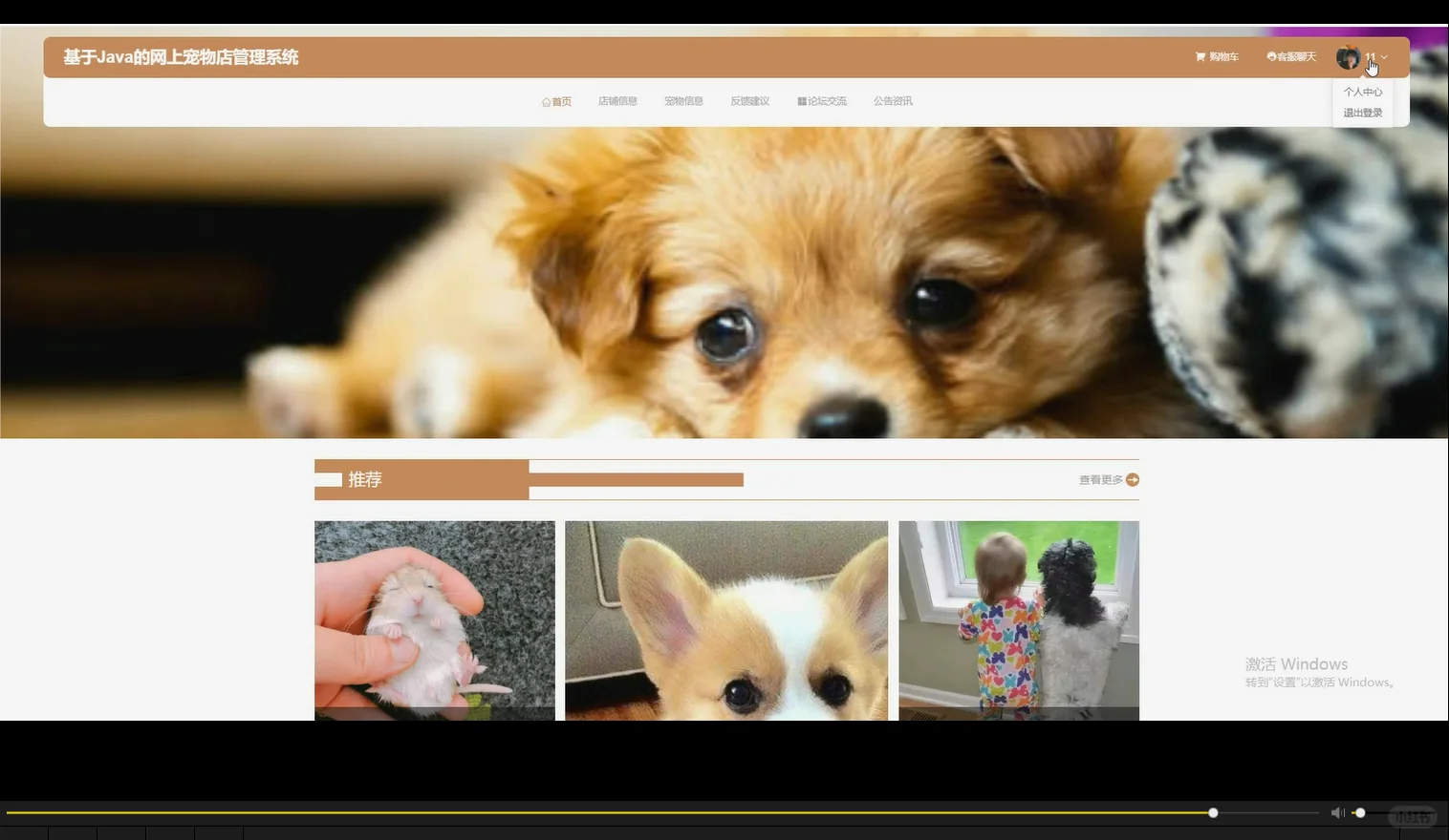 网上宠物店管理系统
