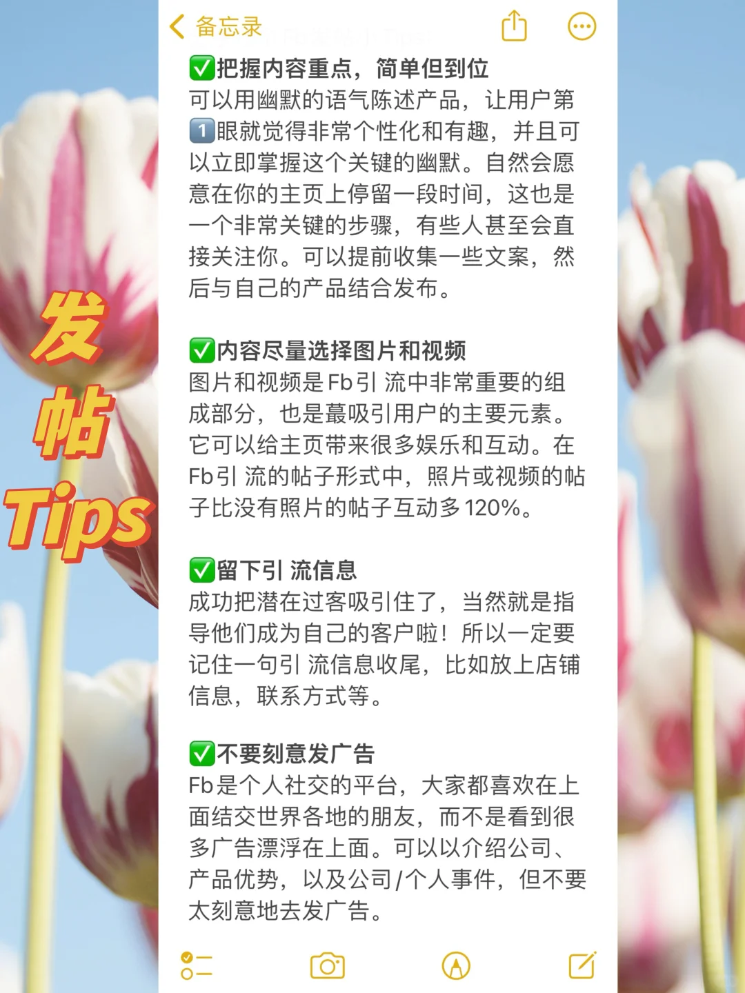 外贸新手上路攻略| 保姆级教程