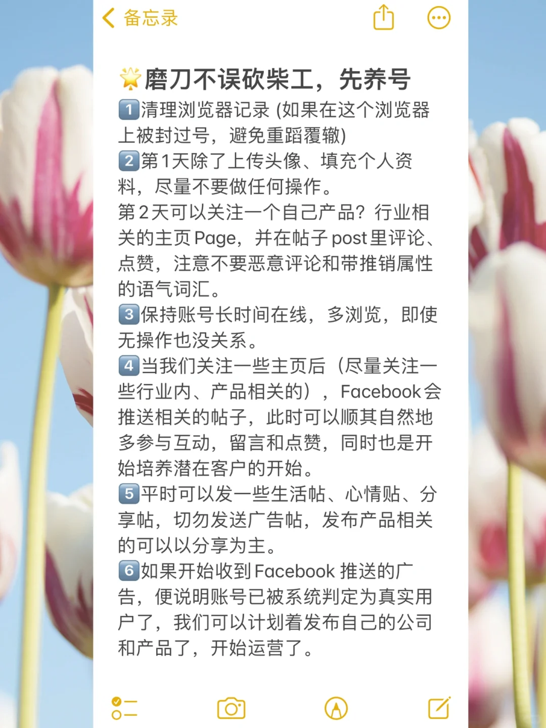 外贸新手上路攻略| 保姆级教程