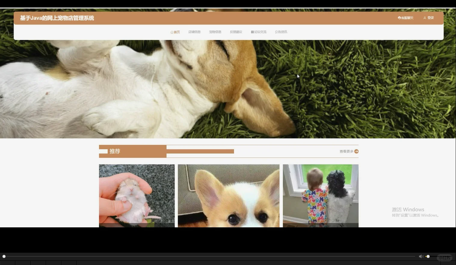 网上宠物店管理系统
