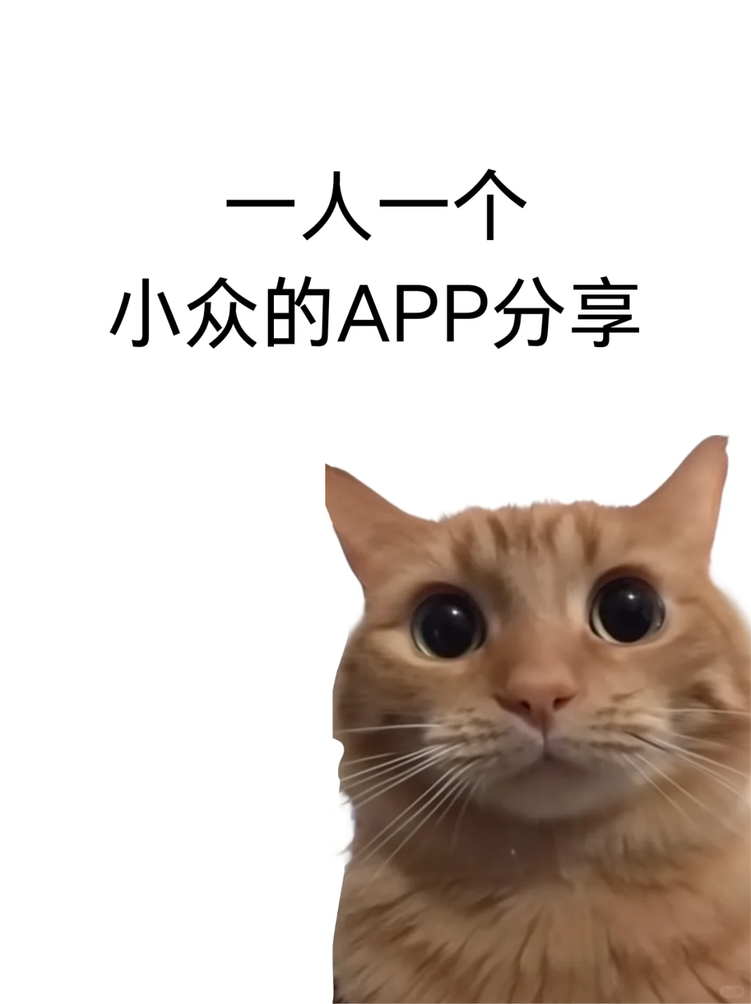 一人一个小众APP分享