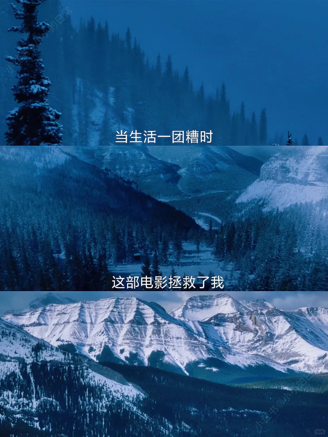 😭周末必看！4️⃣部让我又哭又笑的电影合集❗️