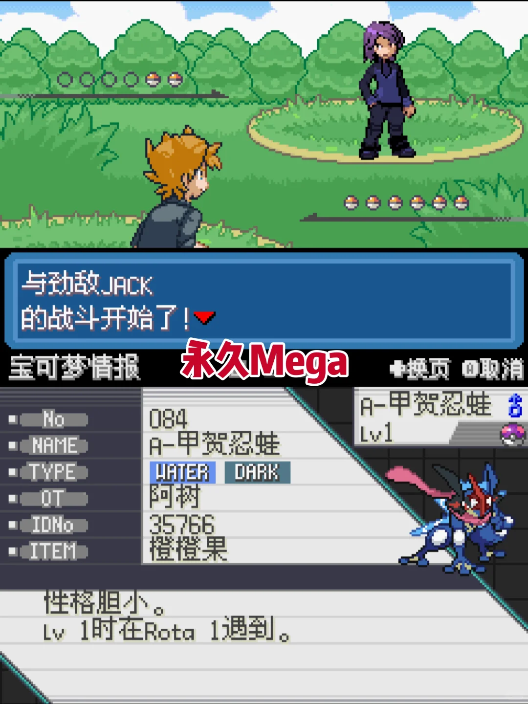 神作汉化！宝可梦龙之石三部曲！内含金手指