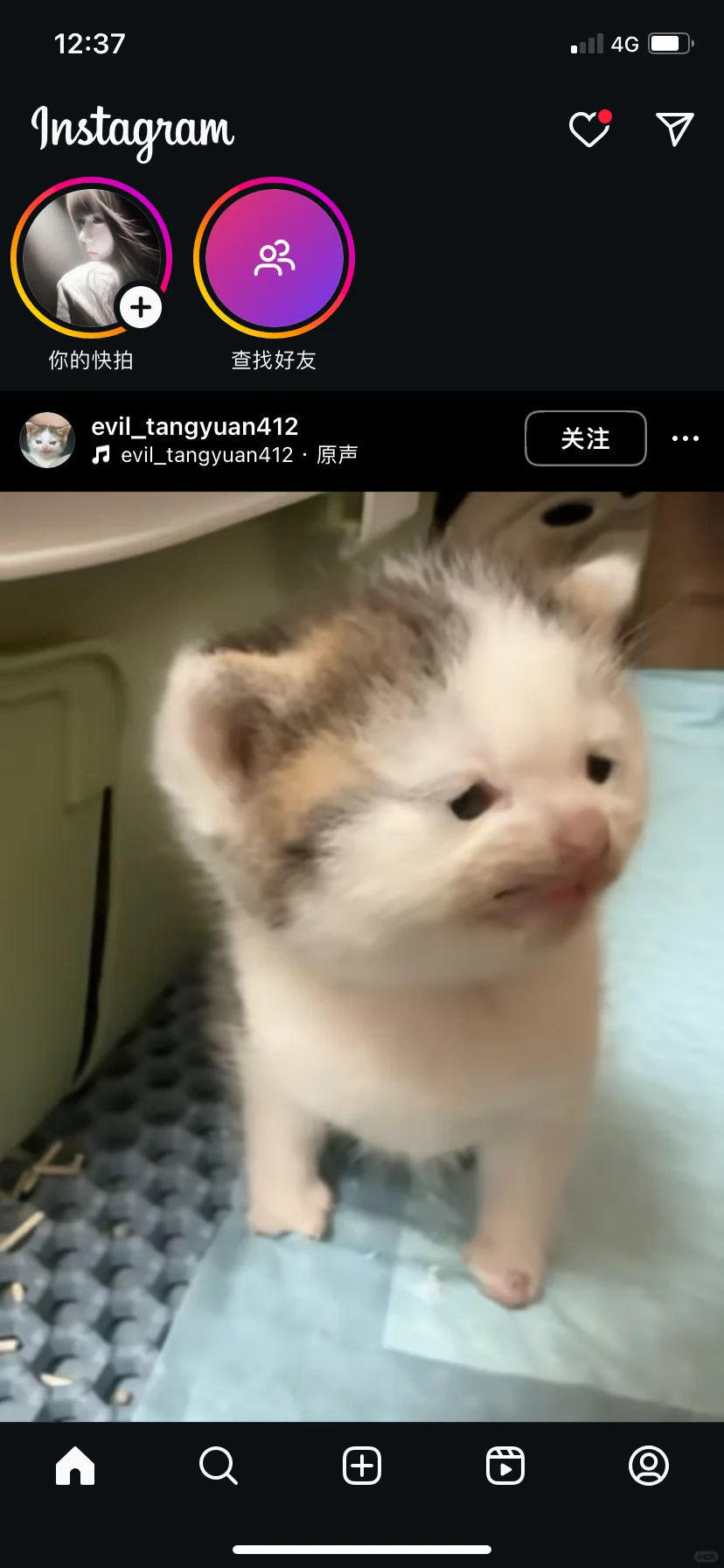 嗯对终于登上了