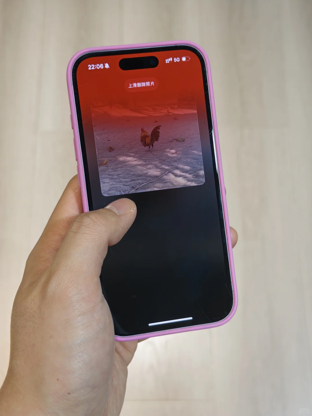 招募有3万张照片的 iPhone 用户