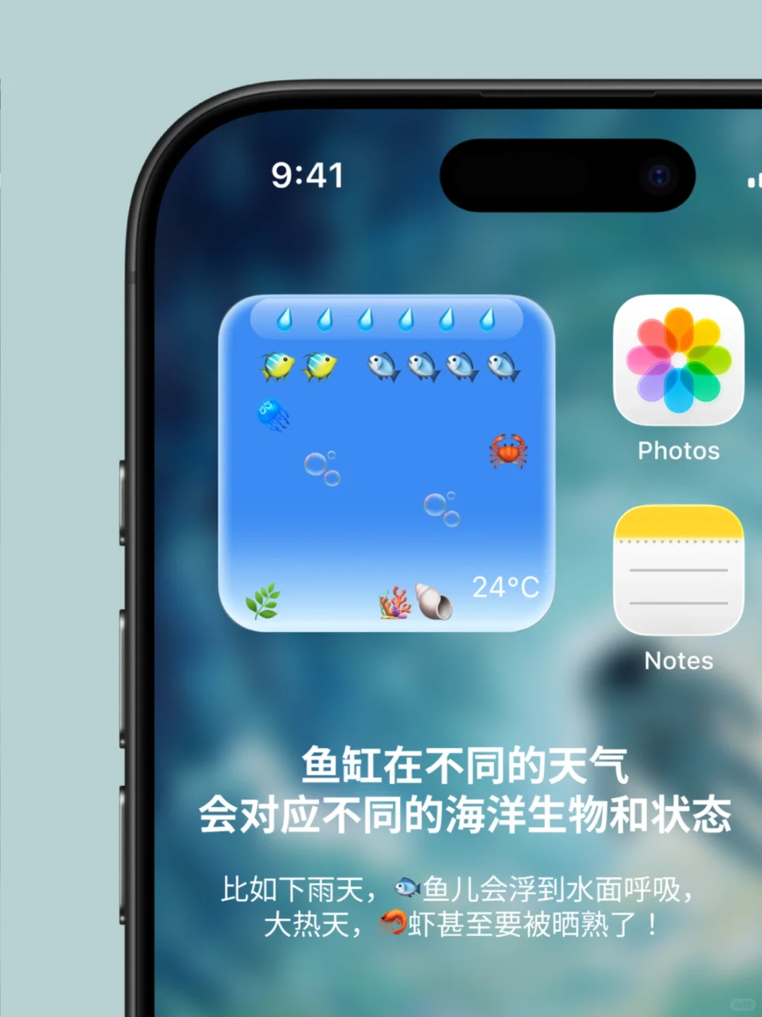 被20万人看过的鱼缸小组件，正式上线啦✨