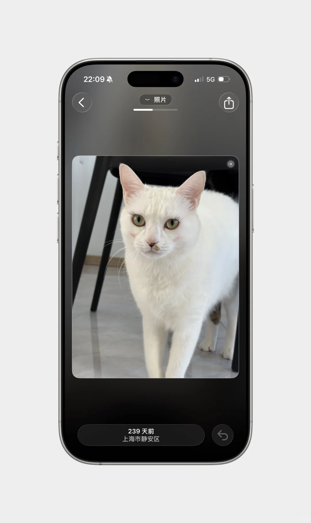 招募有3万张照片的 iPhone 用户