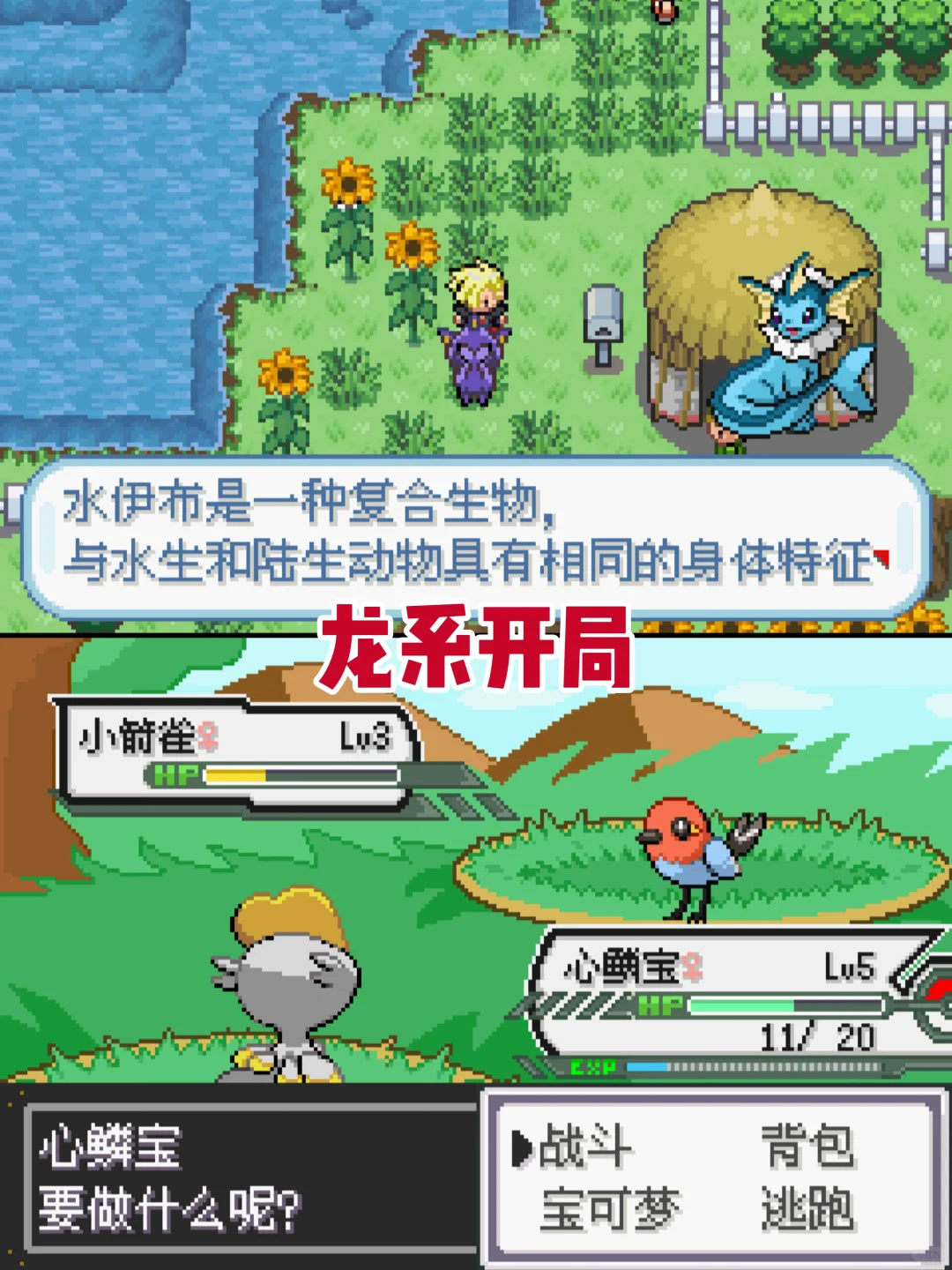 神作汉化！宝可梦龙之石三部曲！内含金手指