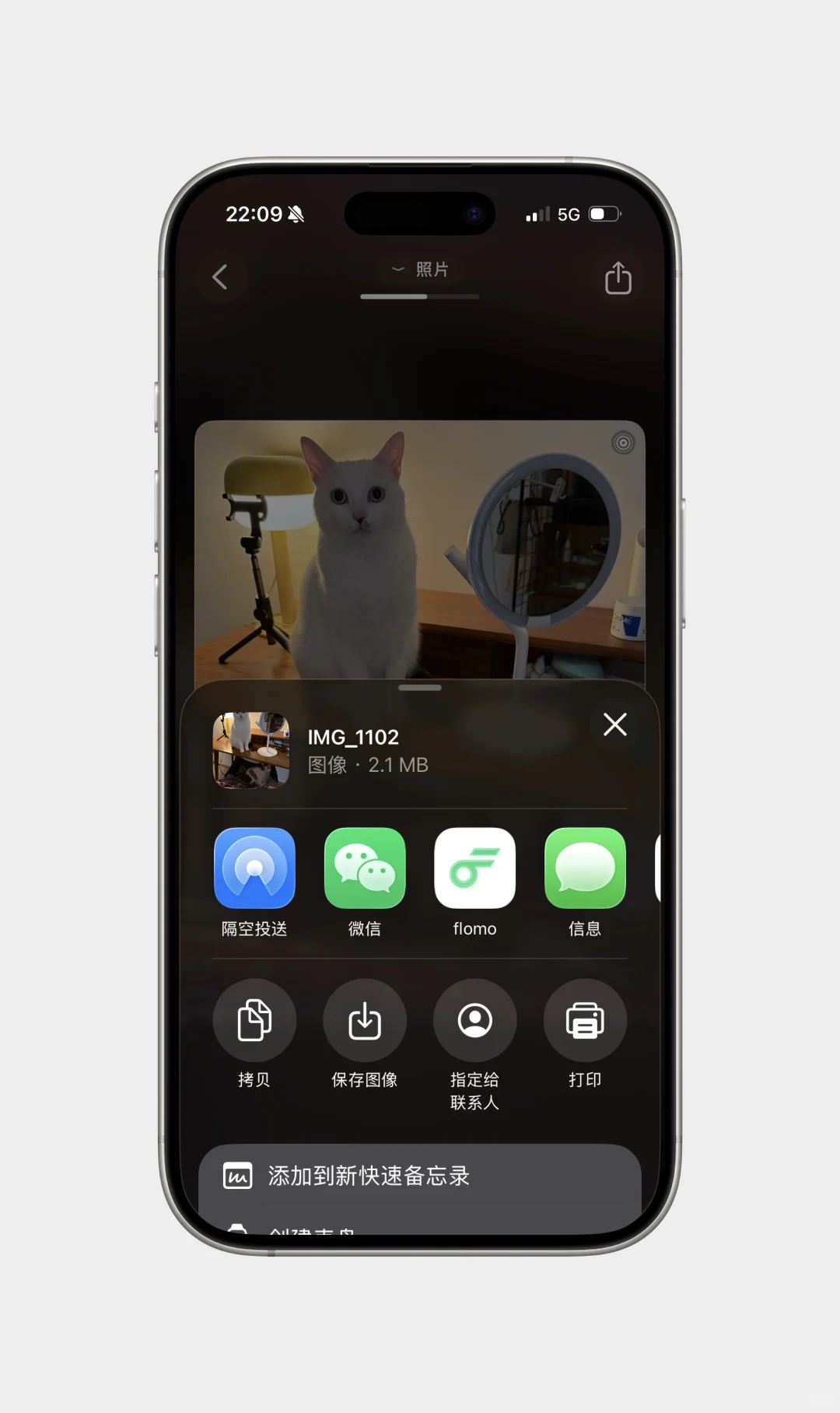 招募有3万张照片的 iPhone 用户