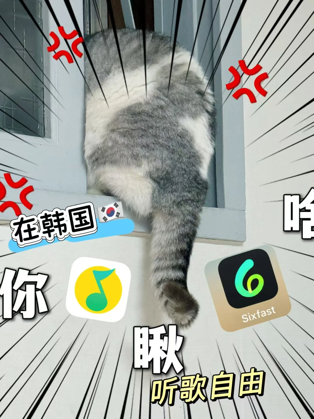 暑假不回国，也能在小韩追番听歌