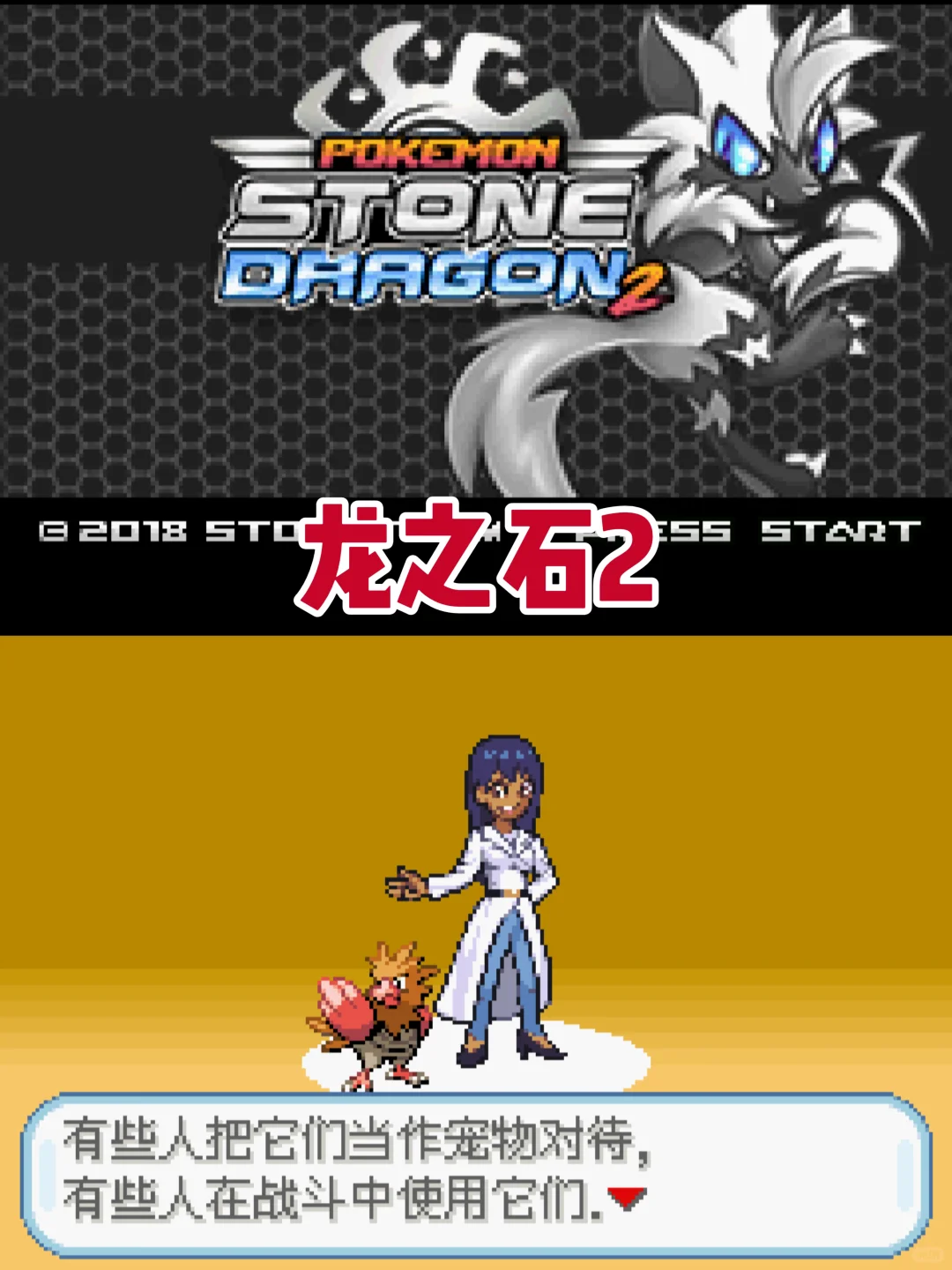 神作汉化！宝可梦龙之石三部曲！内含金手指