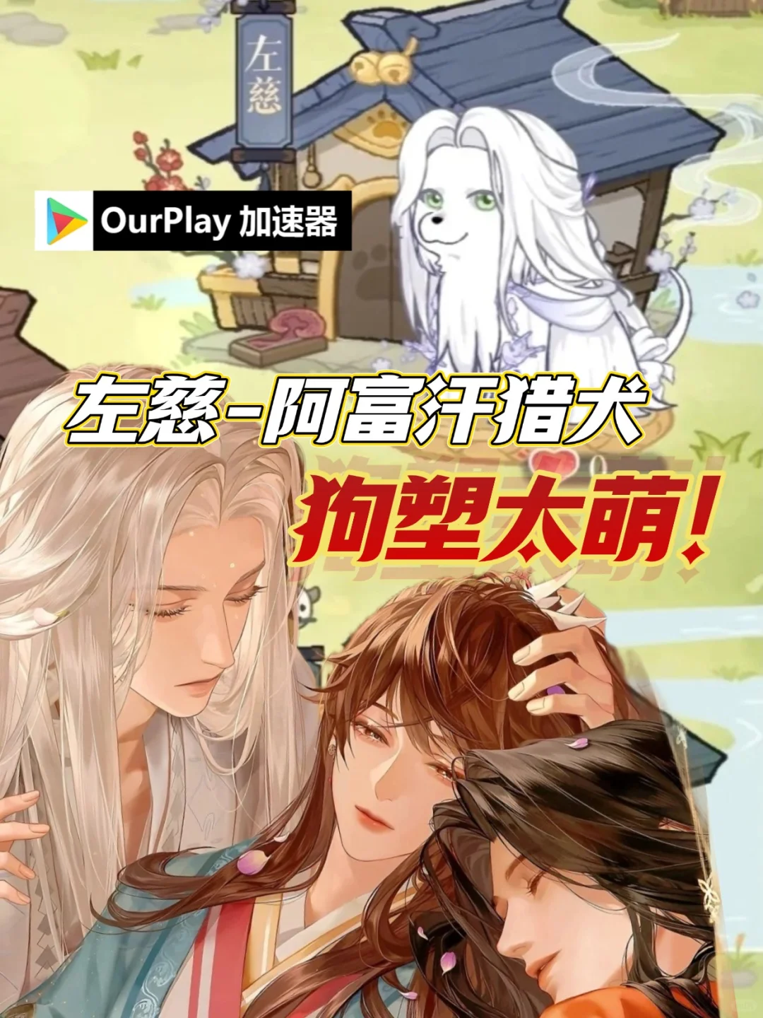 代号鸢周年庆真的杀疯了!!