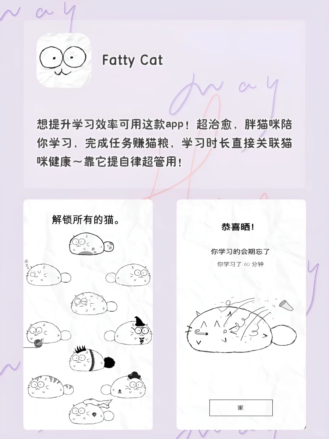 女生手机APP❗️1%电量也要拥有‼️