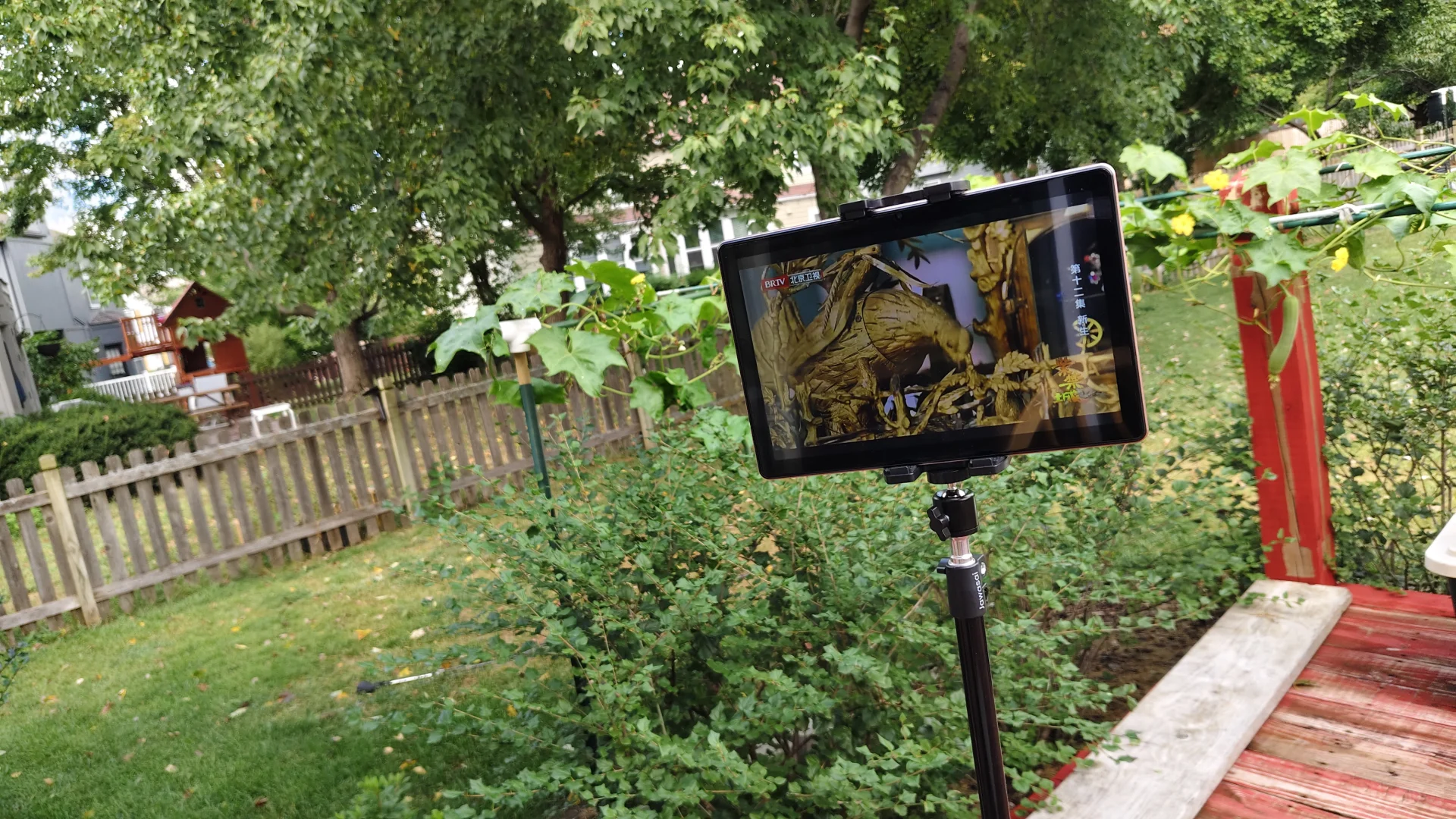 国内买个平板， 在国外看国内电视