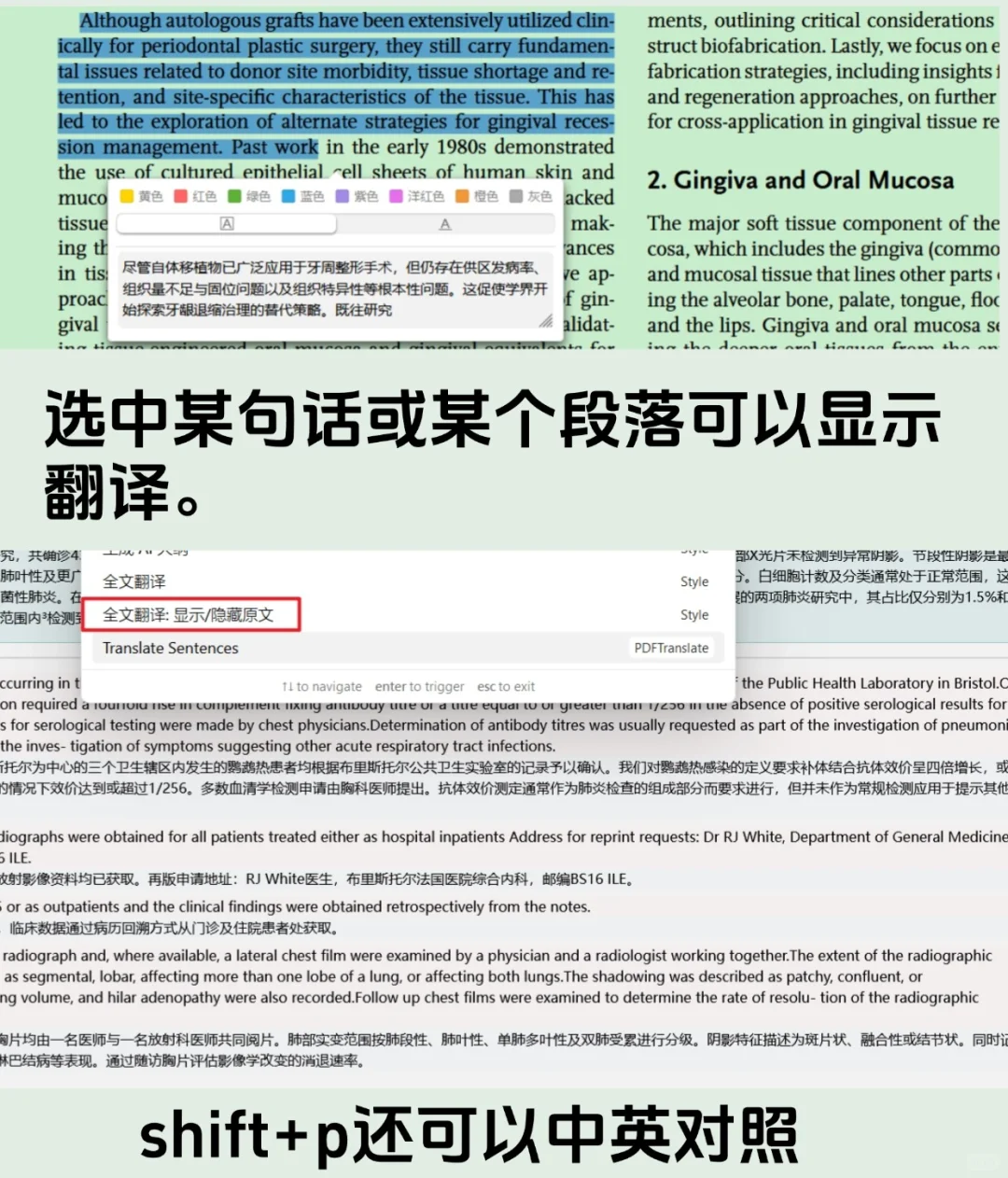 研究生必装｜3 年亲测的 4 个 Zotero 插件