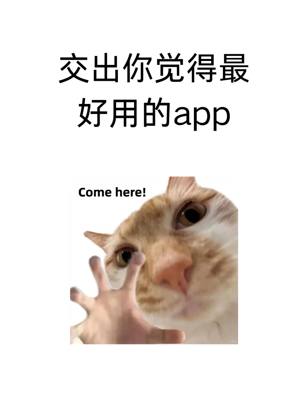 交出你觉得最好用的app