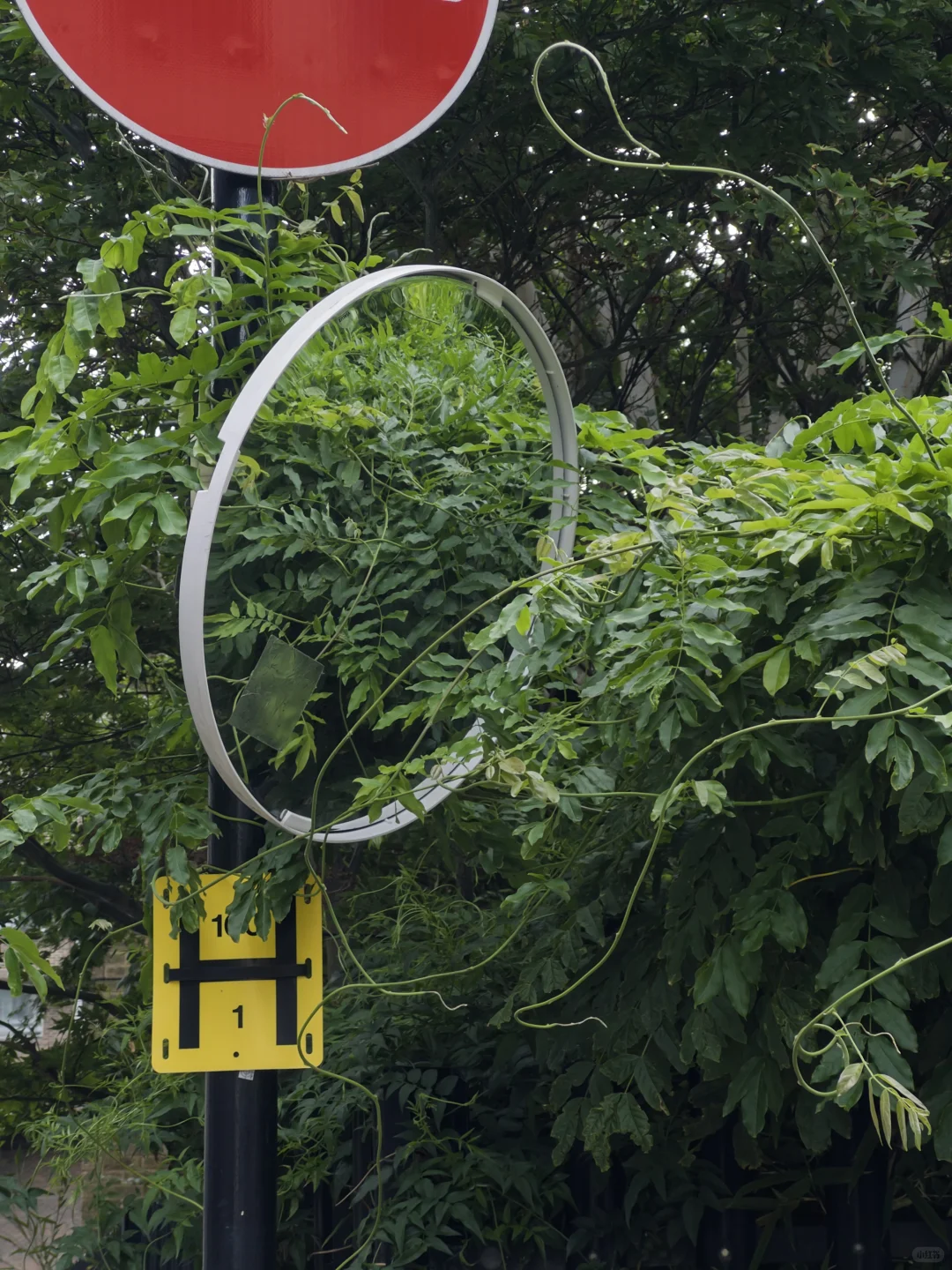 世界上最好的手机拍照app: Project Indigo