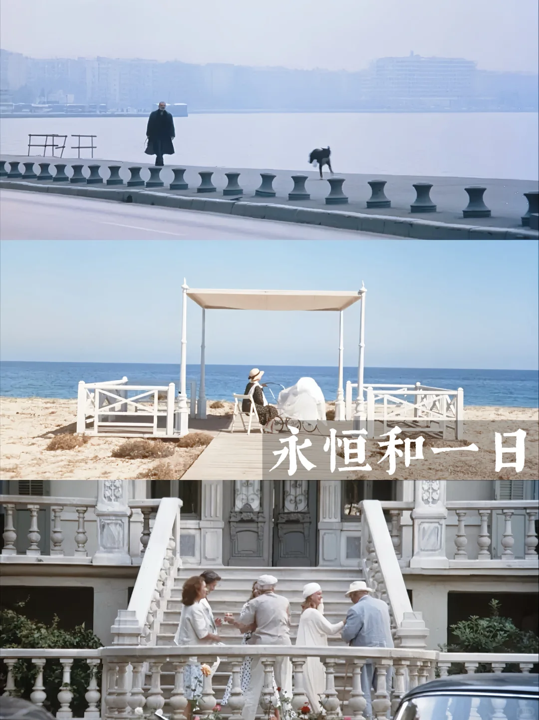 提高审美|10部美学电影🎬我要安利给全世界