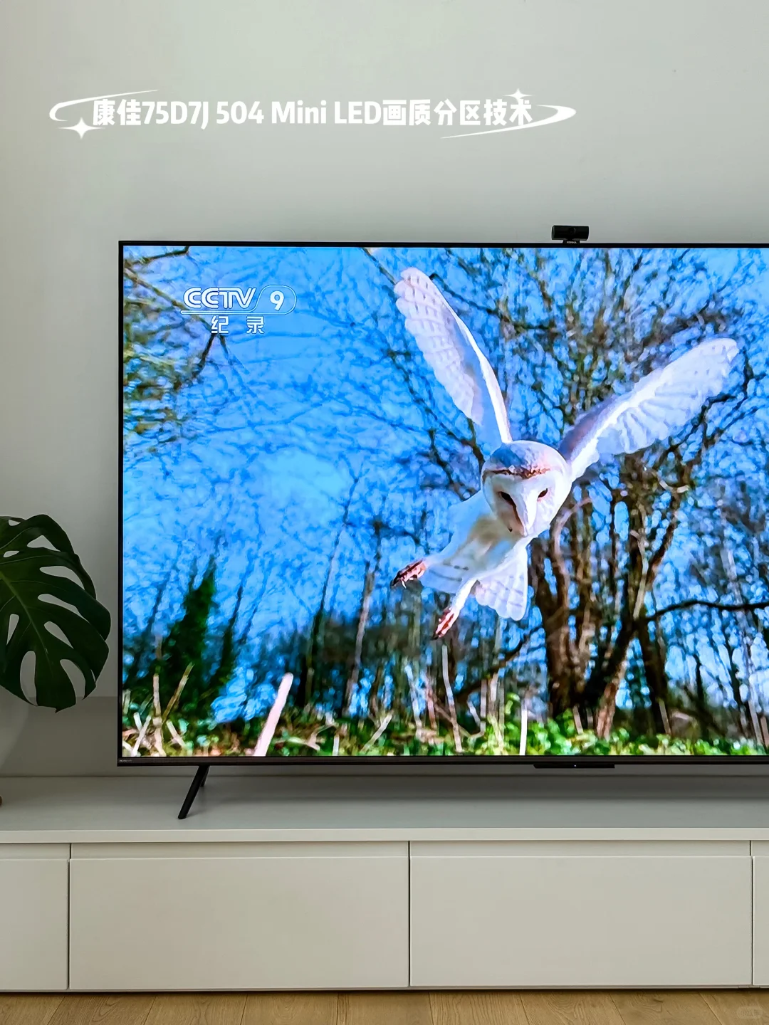 偷看爸妈日常，笑出鹅叫的一天