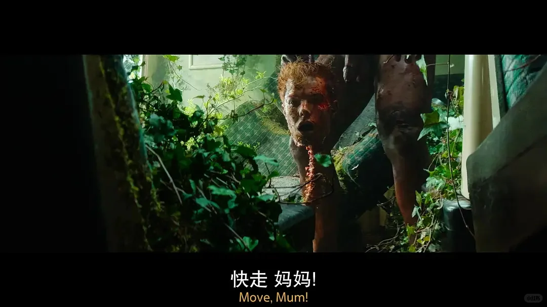 蕞新丧shi片来袭🔥太震撼了