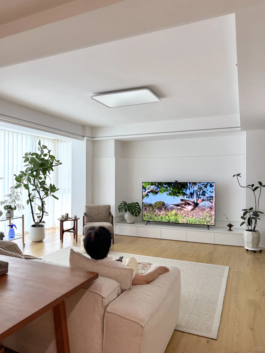 偷看爸妈日常，笑出鹅叫的一天