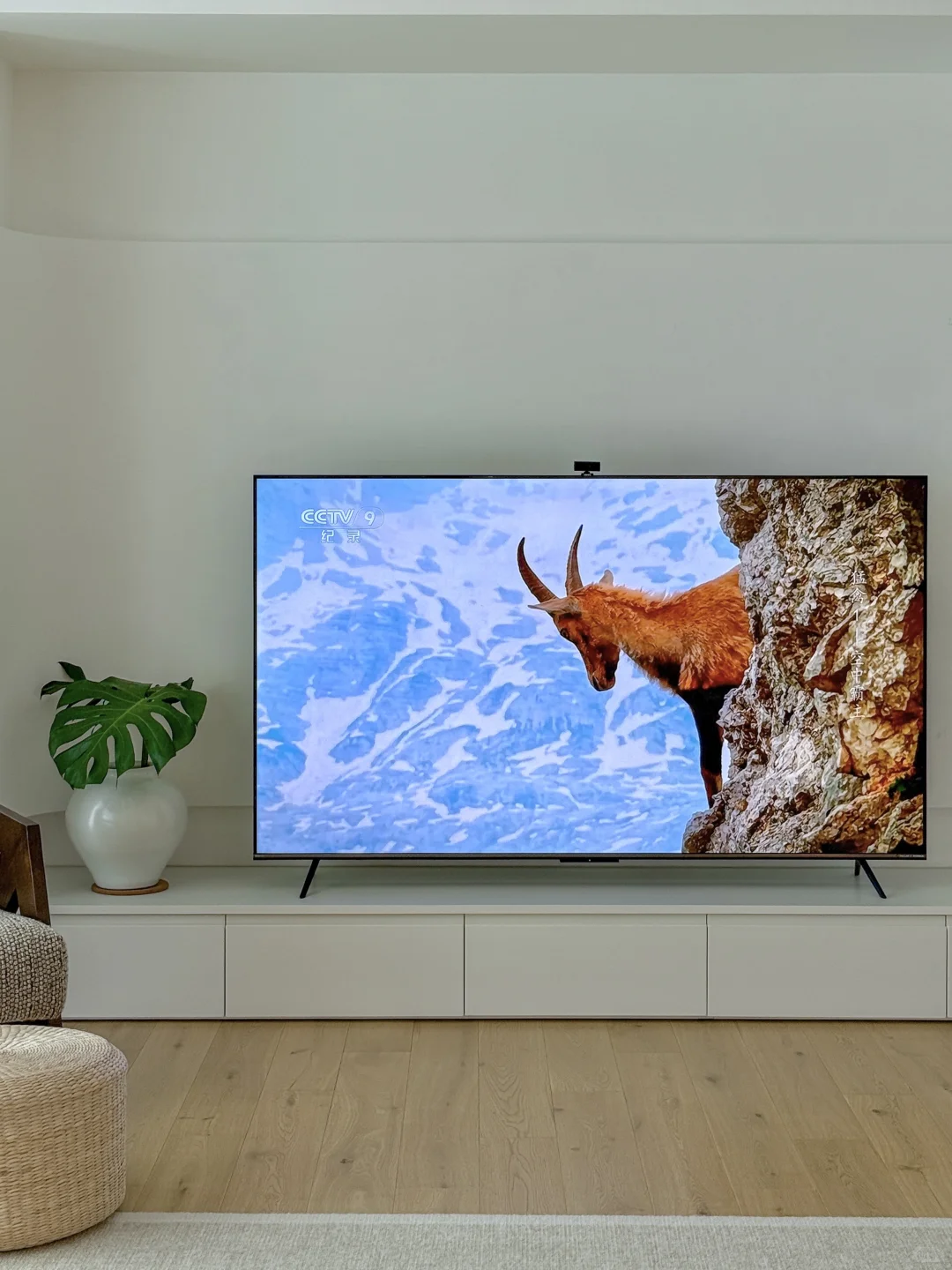 偷看爸妈日常，笑出鹅叫的一天