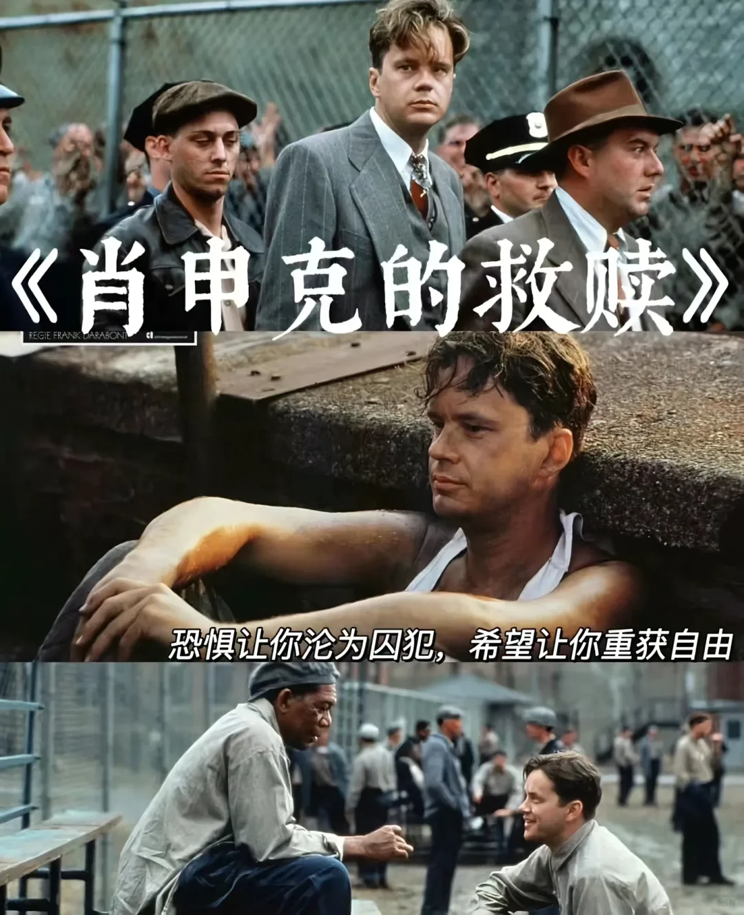 提升格局❗❗必看10部电影，看完你会感谢我