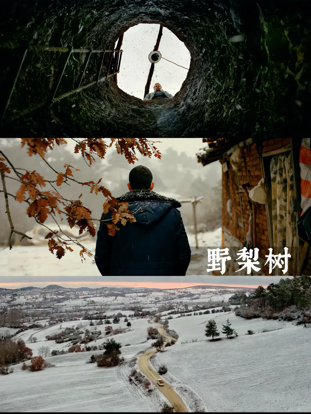 提高审美|10部美学电影🎬我要安利给全世界