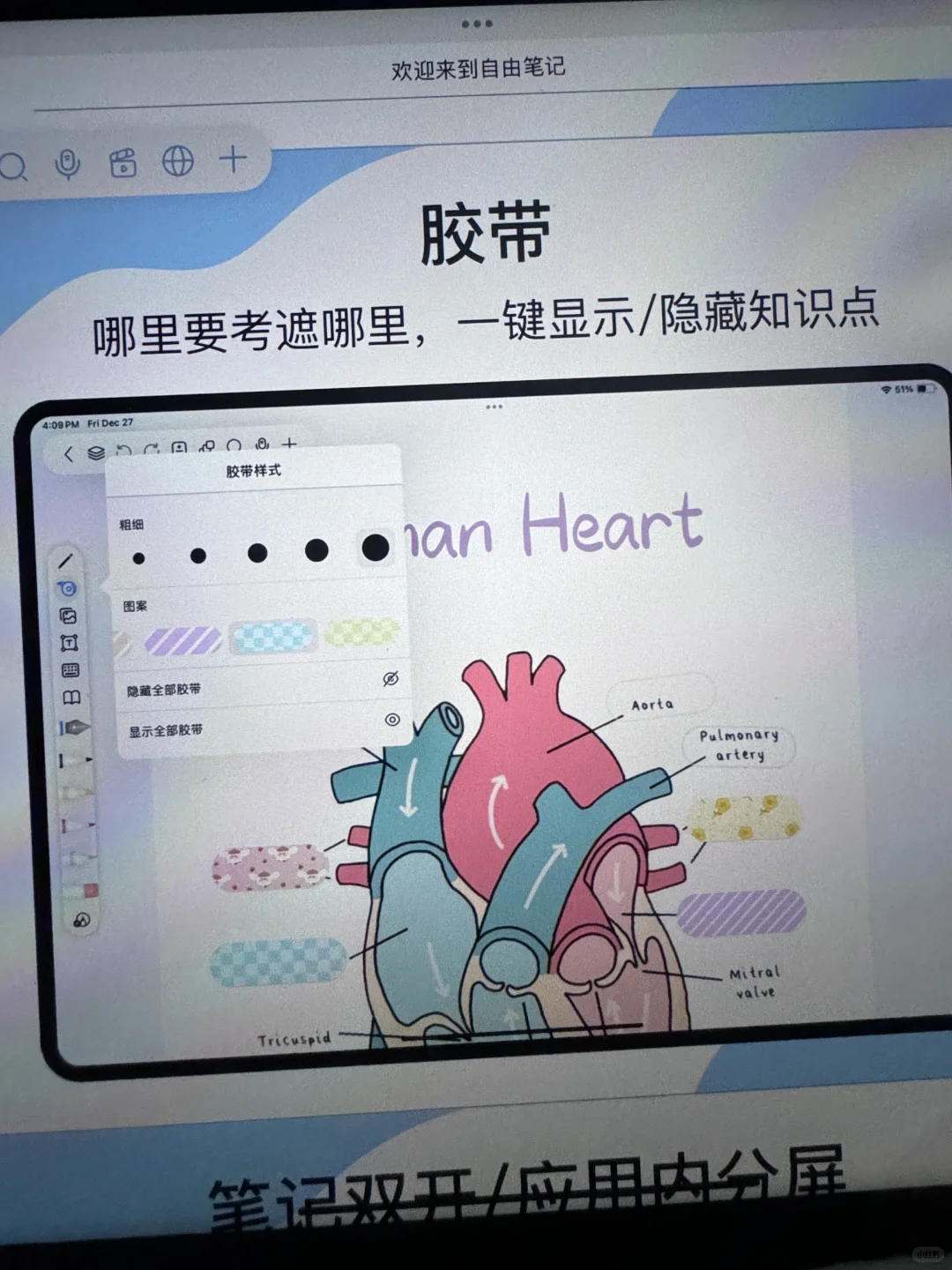 一起来自由笔记吧～～～