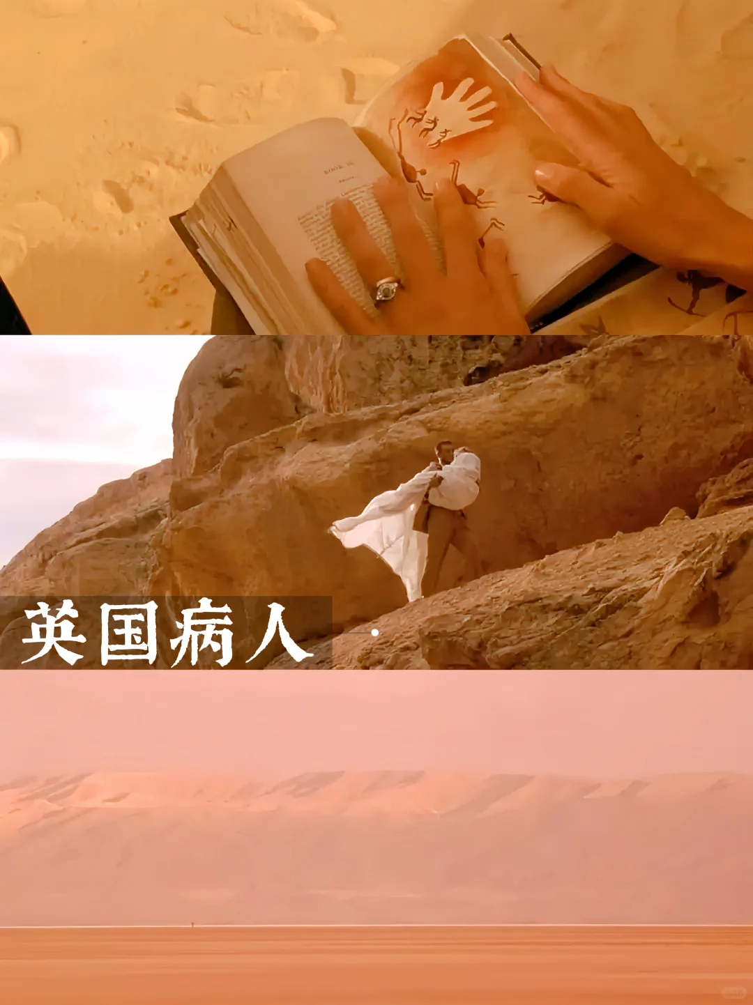 提高审美|10部美学电影🎬我要安利给全世界