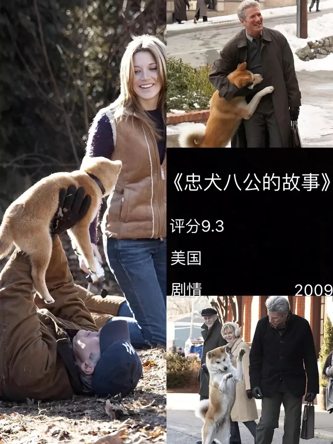 突然被电影治愈了…🎬你看过几部❗❗